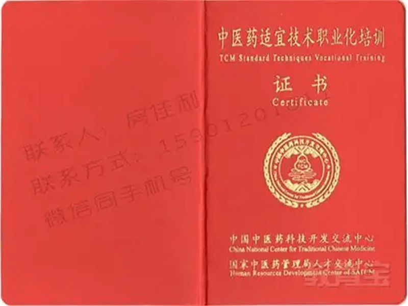 荣誉证书定制-红金大气喜庆风