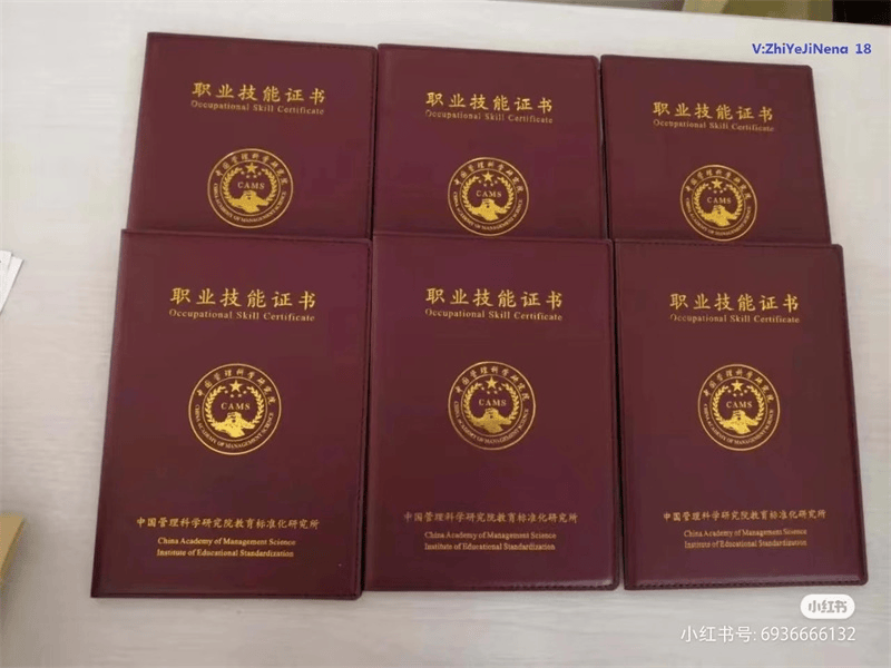 资质证件定制-红金大气喜庆风